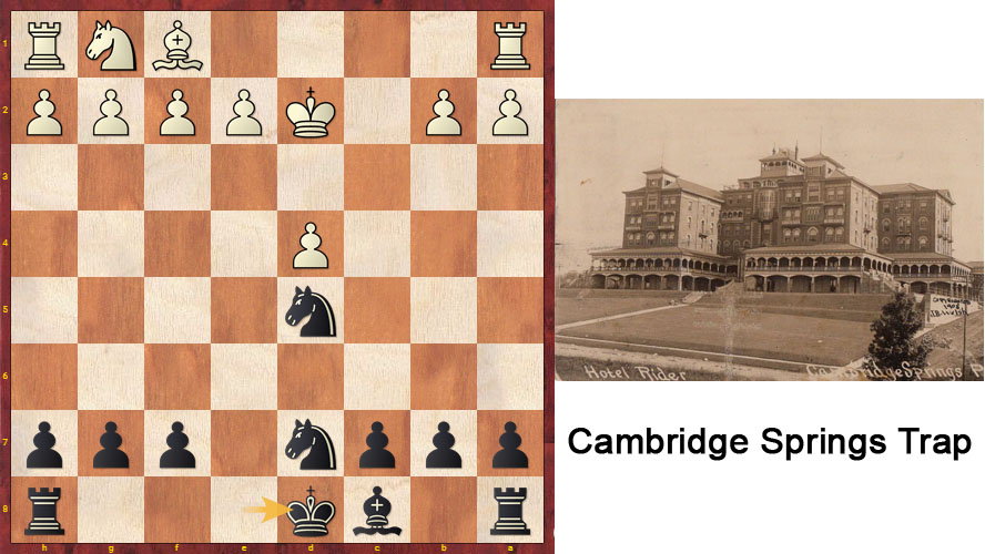 Chess Traps Cambridge Springs Trap Tutorial Cognitio Tutorial and