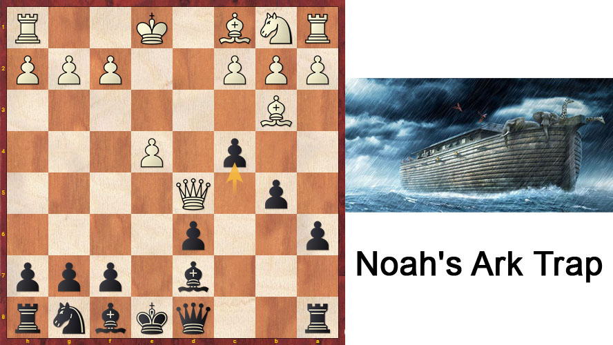 Chess Traps Noah S Ark Trap Tutorial Cognitio Tutorial And